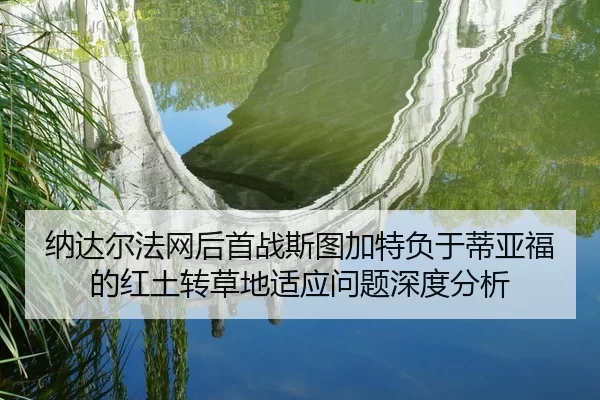 na-da-er-fa-wang-hou-shou-zhan-si-tu-jia-te-fu-yu-di-ya-fu-de-hong-tu-zhuan-cao-di-shi-ying-wen-ti-shen-du-fen-xi-2-451.jpg